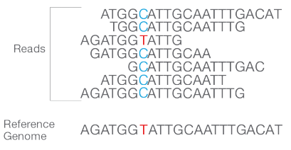 illumina read alignment