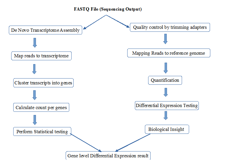 Overview of RNA Seq Pipelines for Transcriptome Analysis