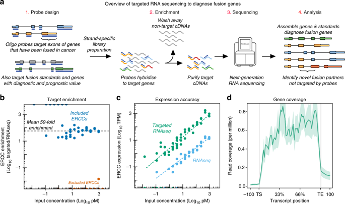 Targeted RNAseq and panel validation