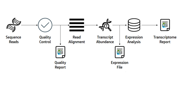 RNA Seq Data Analysis Overview