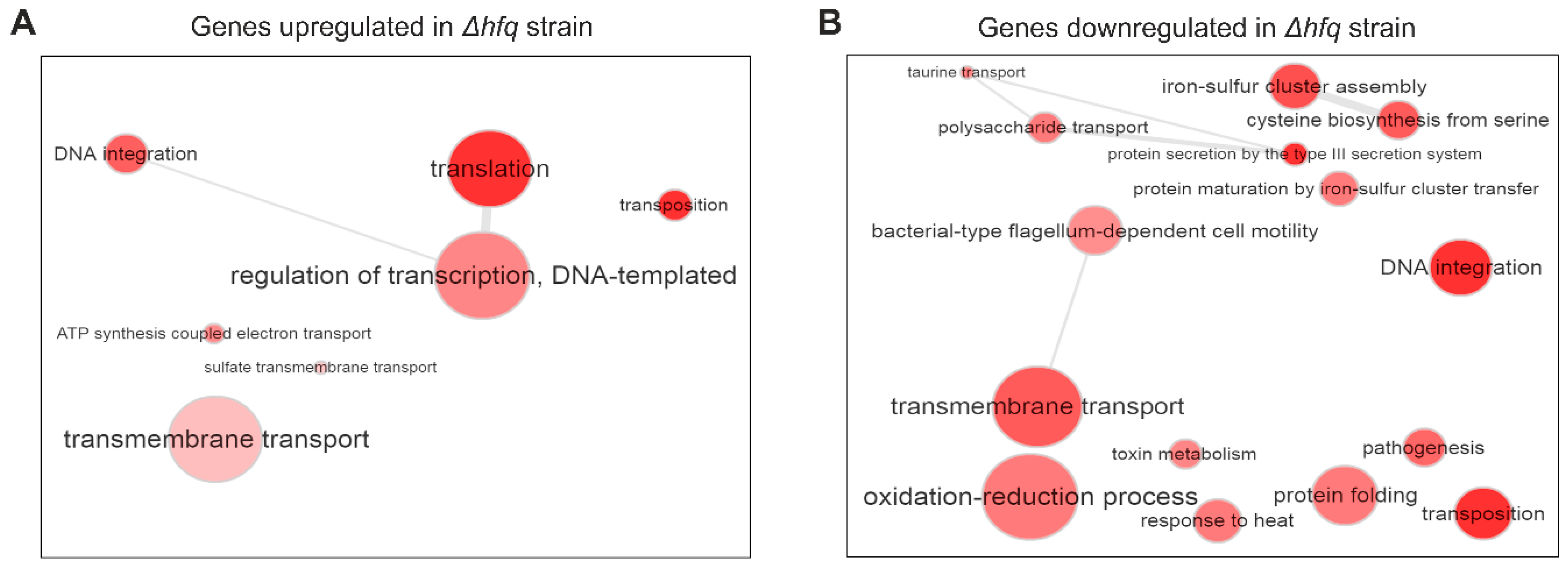 Gene Ontology analysis