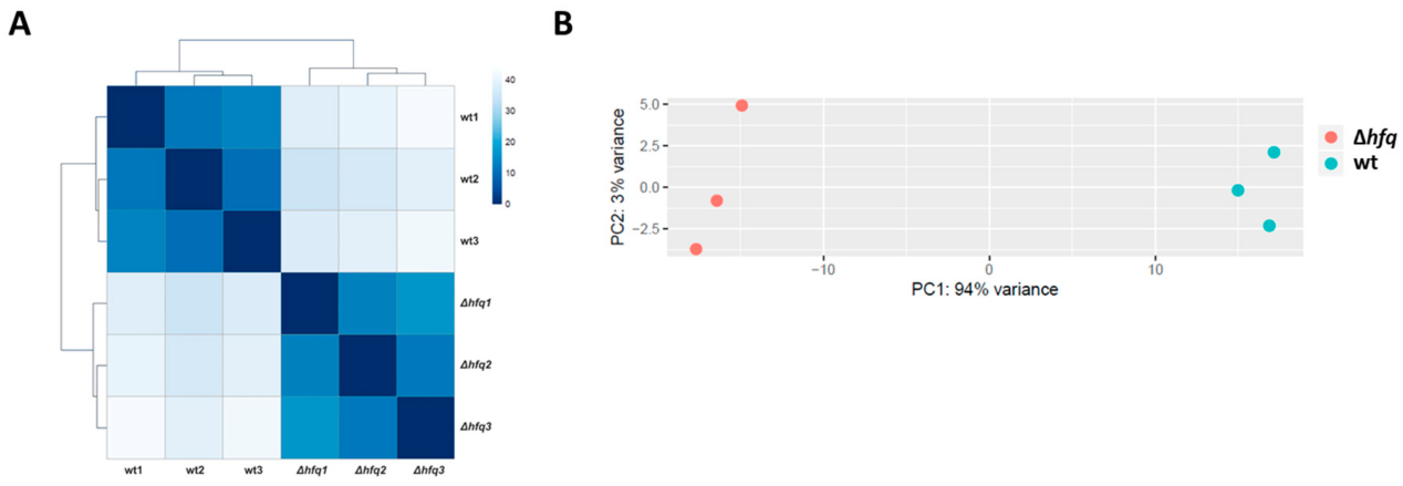 clustering & principal component analysis