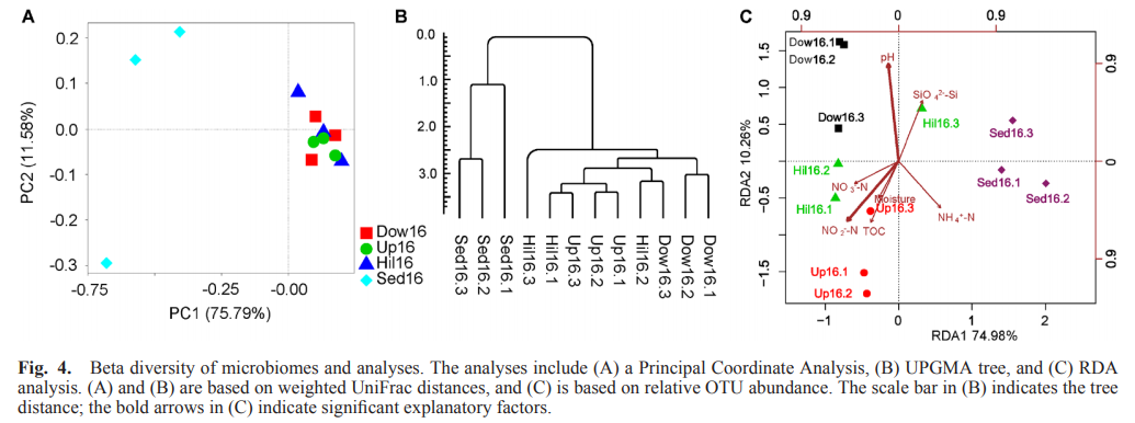 microbial diversity analysis