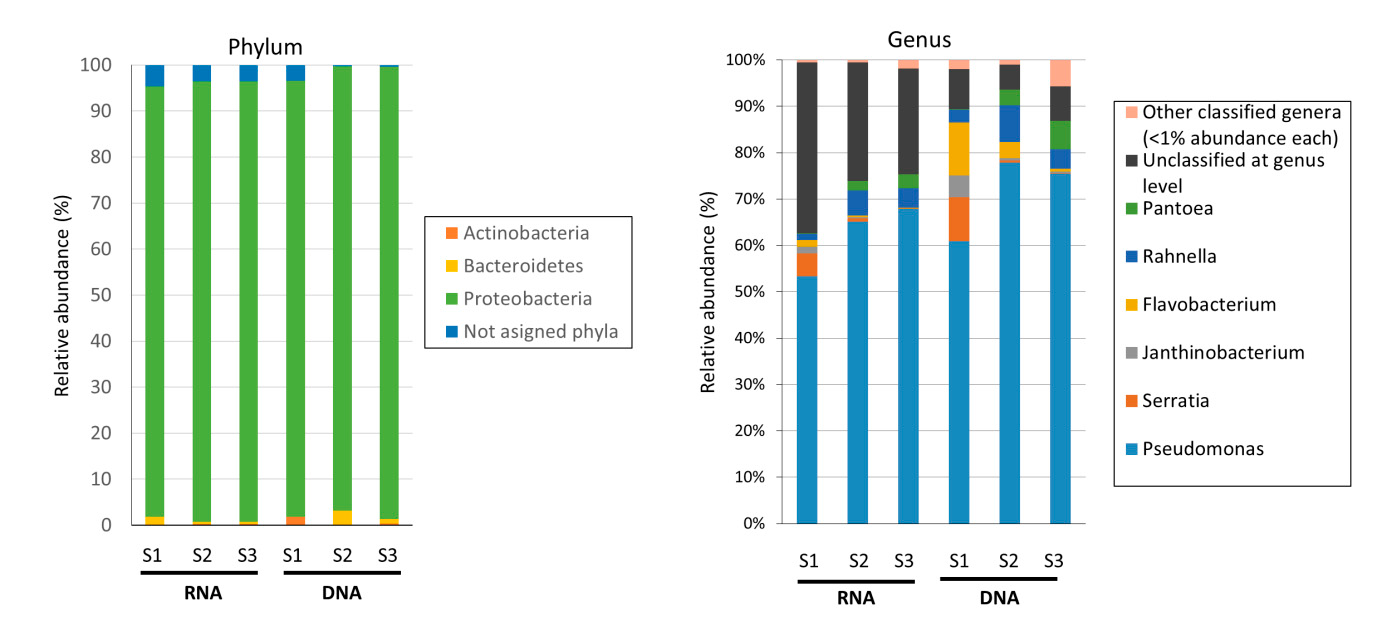 16srRNA amplicon sequencing