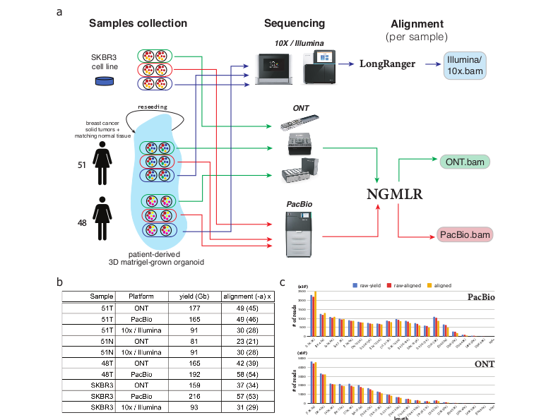 Sample collection, sequencing, and alignment pipeline and statistics overview