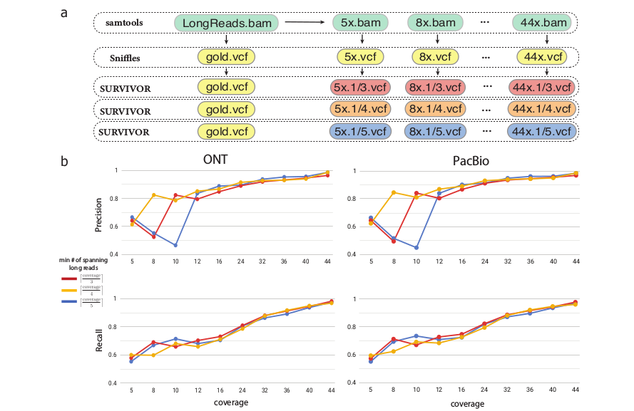 Structural variations inference