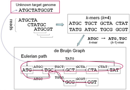 De-BruijnGraph and Genome Assembly