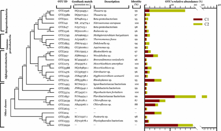 16s Rrna Sequencing Analysis Microbiome Sequencing 1010genome Quality Ngs Bioinformatics 9741