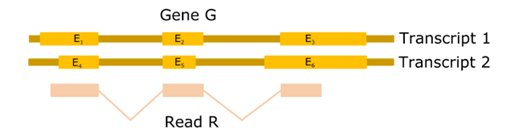 EQP generate Gene G and Read R