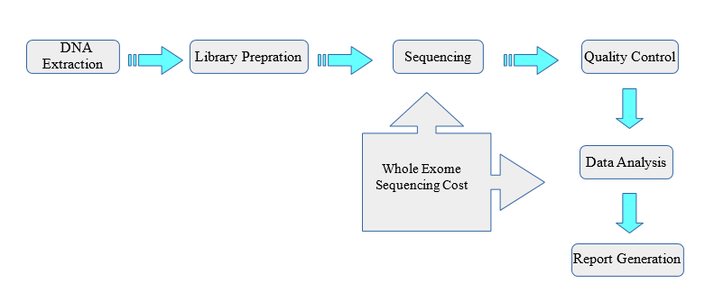 Whole Exome Sequencing Workflow
