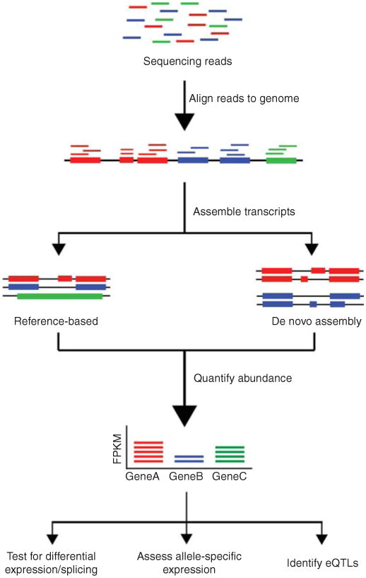 Overview-RNA-Seq-Data-Analysis